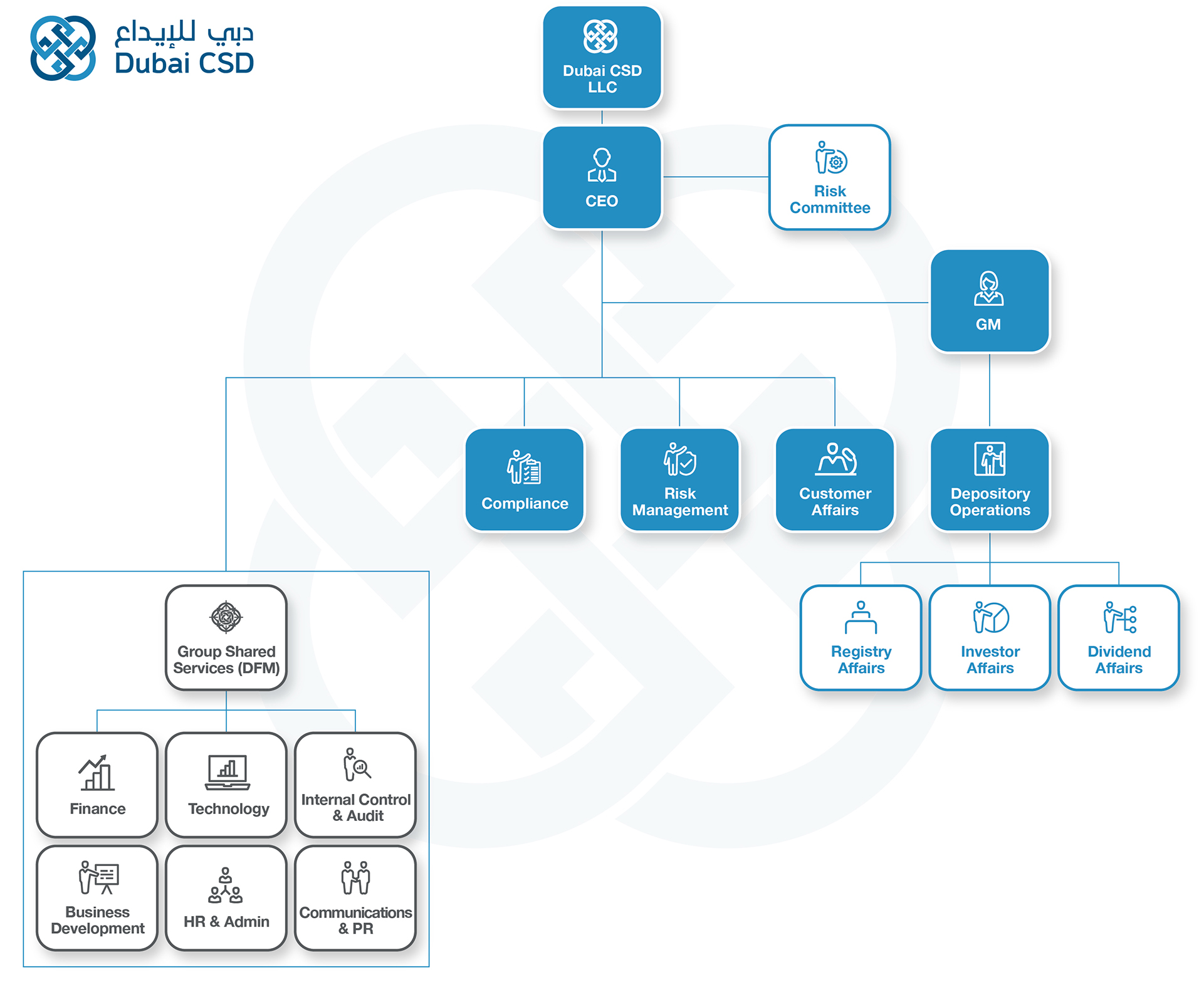 CSD  Organizational Structure